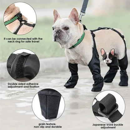 Royaleva Waterproof Dog Suspenders Boots for All Breeds