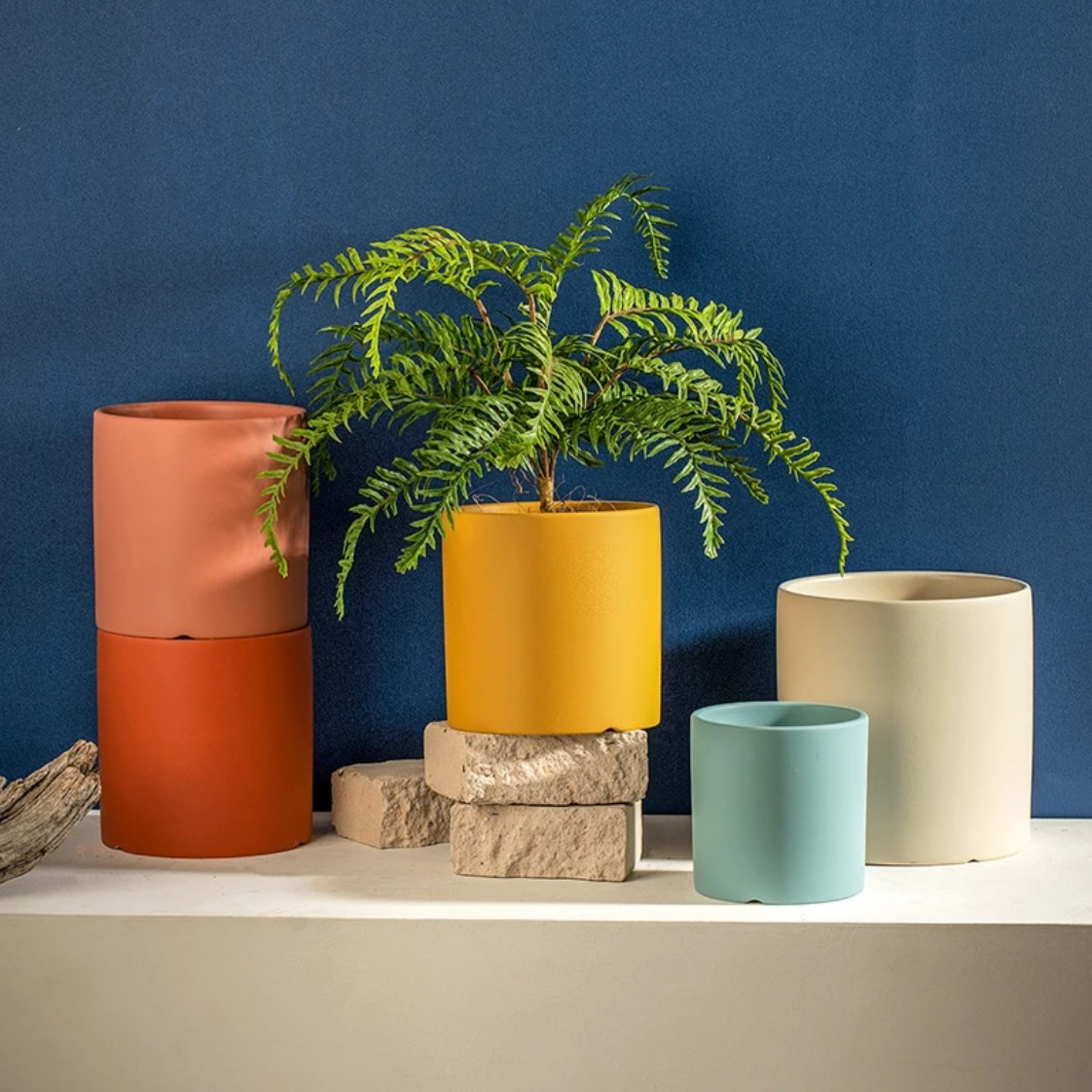 Royaleva All The Bright Colors Planter with Saucer Set