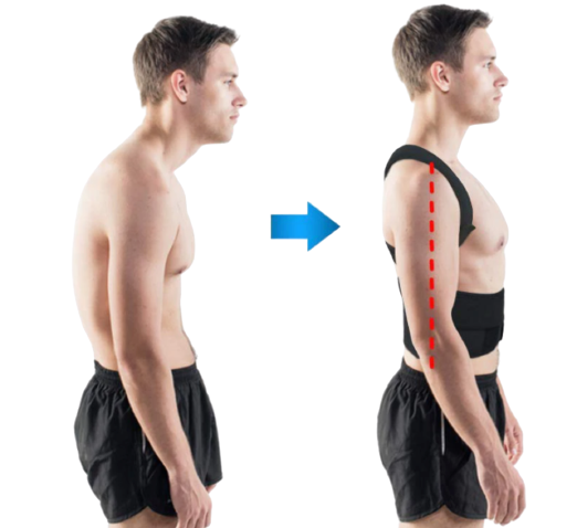 Royaleva Complete Back Care Brace for Posture Support