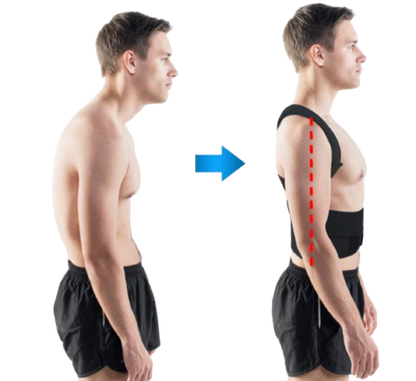 Royaleva Complete Back Care Brace for Posture Support