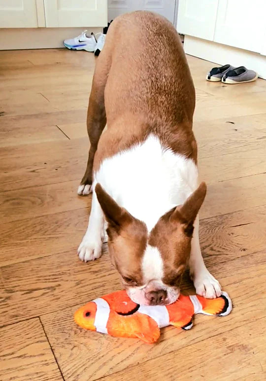 Pawelux Interactive Dancing Fish Toy – Realistic Flopping Motion for Dogs