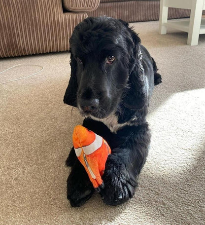Pawelux Interactive Dancing Fish Toy – Realistic Flopping Motion for Dogs