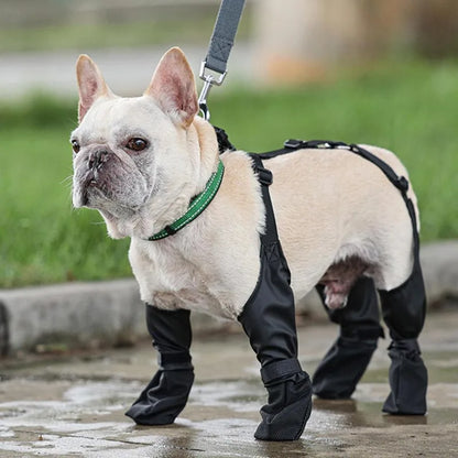 Royaleva Waterproof Dog Suspenders Boots for All Breeds