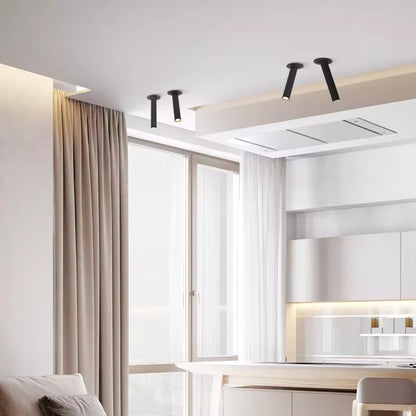 RoyaleGlow Adjustable Recessed LED Spotlight, Long Aluminium Cylinder Ceiling Light