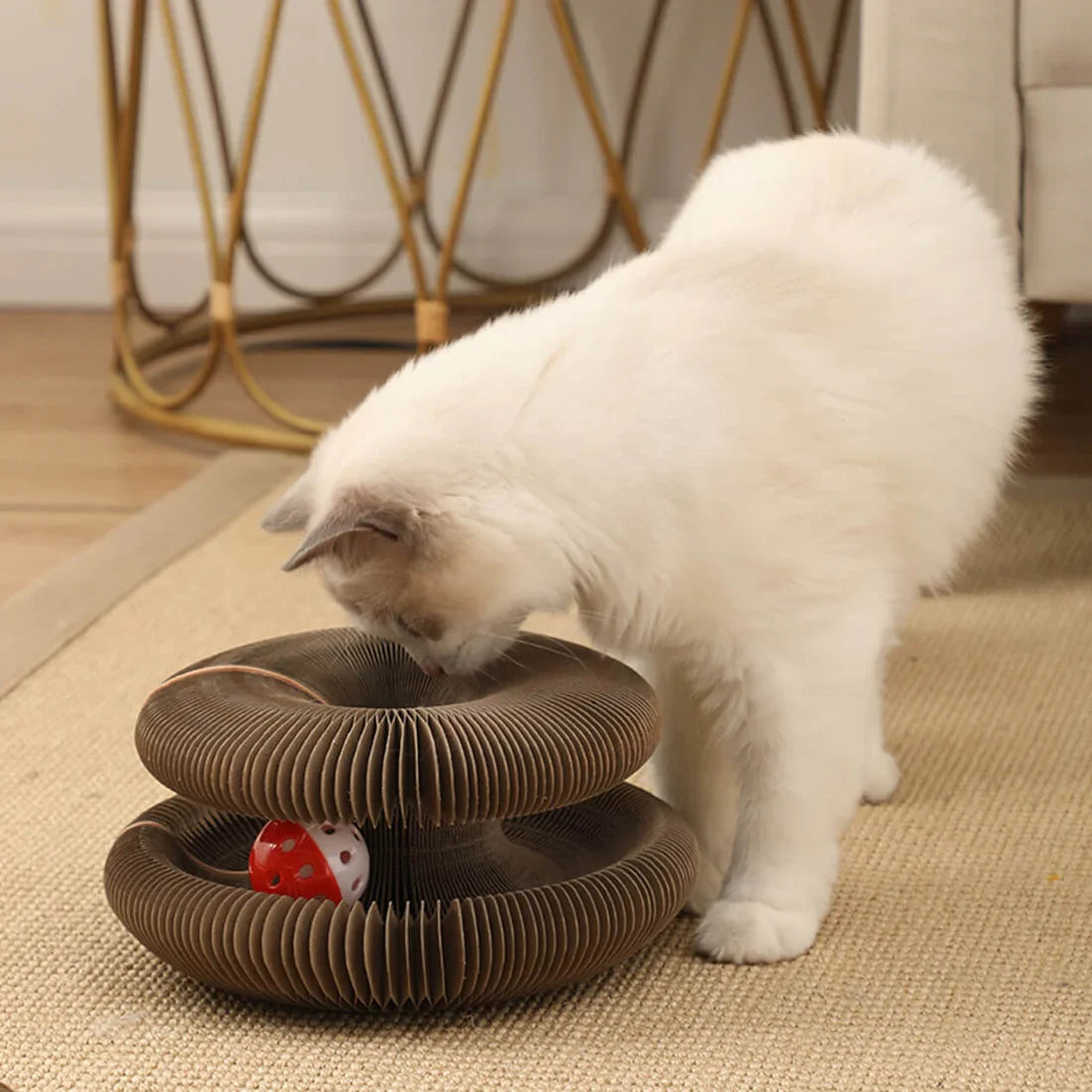 Furora Expandable Cat Scratcher Toy with Interactive Ball Track & Cozy Bed