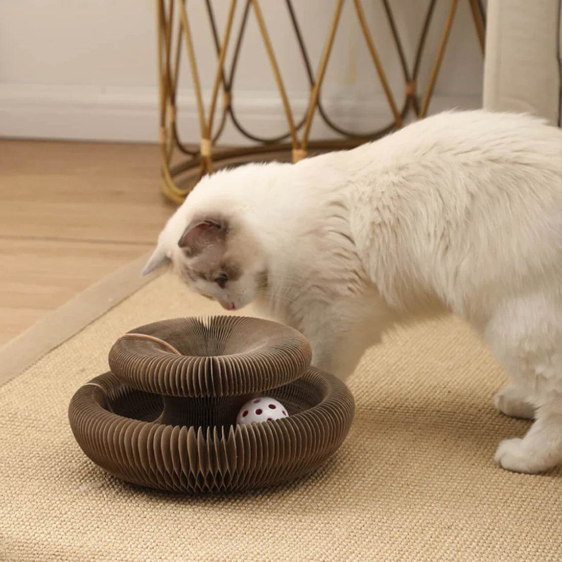 Furora Expandable Cat Scratcher Toy with Interactive Ball Track & Cozy Bed