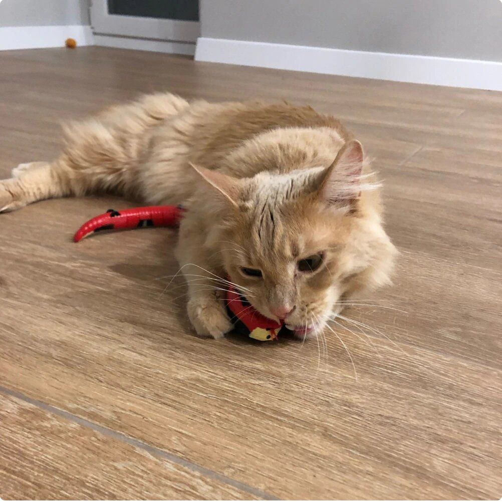 LuxRoyale Smart Sensor Interactive Snake Toy For Cats