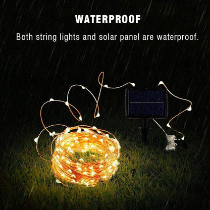 RoyaleGlow String Solar Lights Outdoor (Clear Cable) 50M/100M