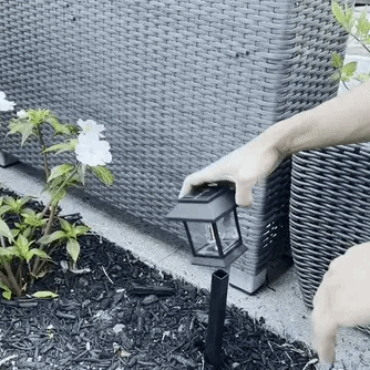 Rayvia Solar Lawn Lights – Waterproof IP44, Edison LED, Fast-Charging, Auto On/Off