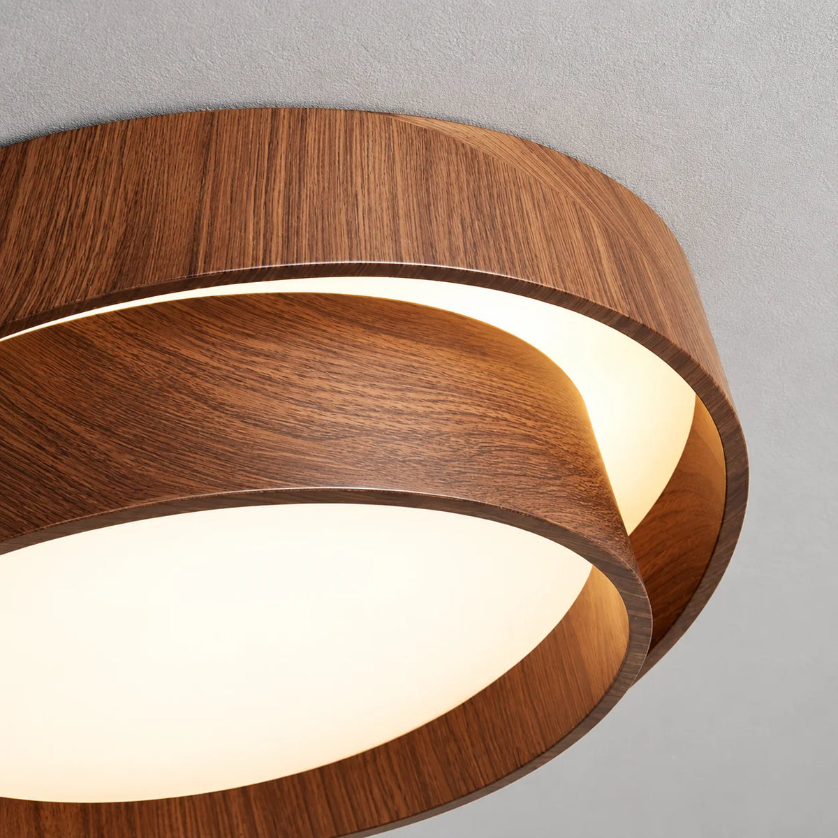 Tarevyn Ring Ceiling Lamp 8
