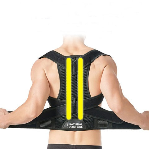 Royaleva Complete Back Care Brace for Posture Support