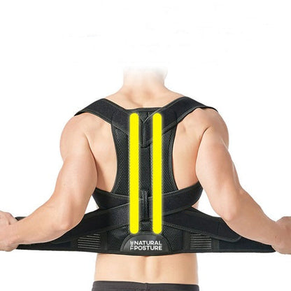 Royaleva Complete Back Care Brace for Posture Support