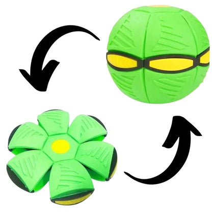 Pawelux Interactive Doggy Disc Ball - Safe, Bouncy Fetch Toy for Dogs