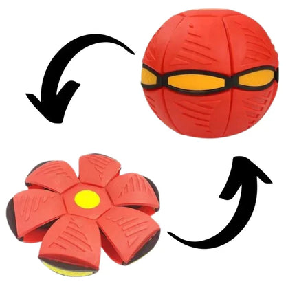 Pawelux Interactive Doggy Disc Ball - Safe, Bouncy Fetch Toy for Dogs