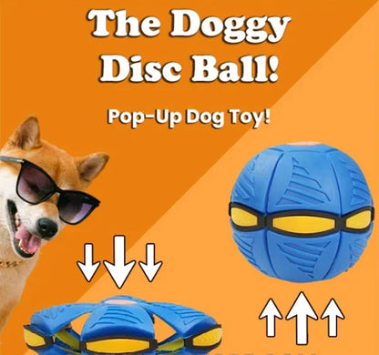 Pawelux Interactive Doggy Disc Ball - Safe, Bouncy Fetch Toy for Dogs