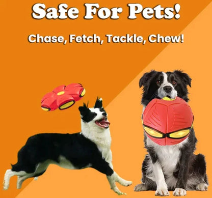 Pawelux Interactive Doggy Disc Ball - Safe, Bouncy Fetch Toy for Dogs