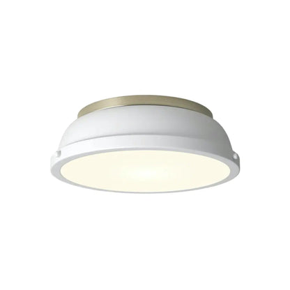 Thornev Industrial Metal Flush Mount Ceiling Light 23