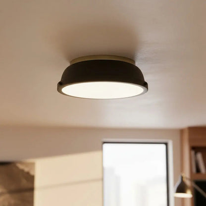 Thornev Industrial Metal Flush Mount Ceiling Light 3