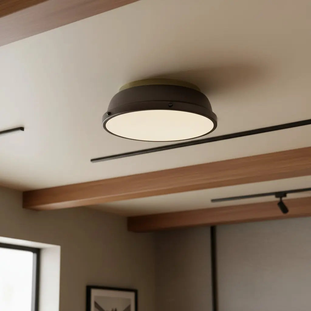 Thornev Industrial Metal Flush Mount Ceiling Light 5
