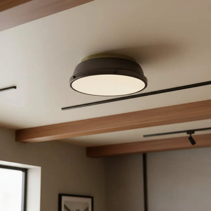 Thornev Industrial Metal Flush Mount Ceiling Light 5