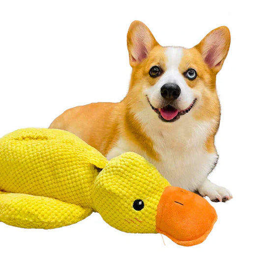 Royaleva Calming Durable Duck Toy for Active Dogs