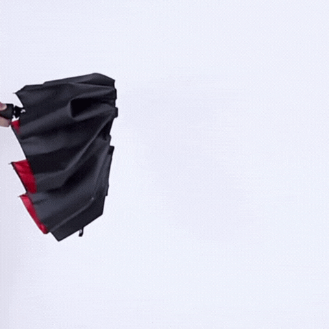 Windproof Compact Umbrella – Storm-Resistant, One-Hand Operation, Travel-Friendly & Durable
