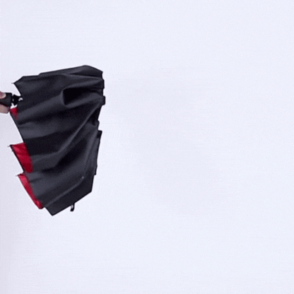 Windproof Compact Umbrella – Storm-Resistant, One-Hand Operation, Travel-Friendly & Durable