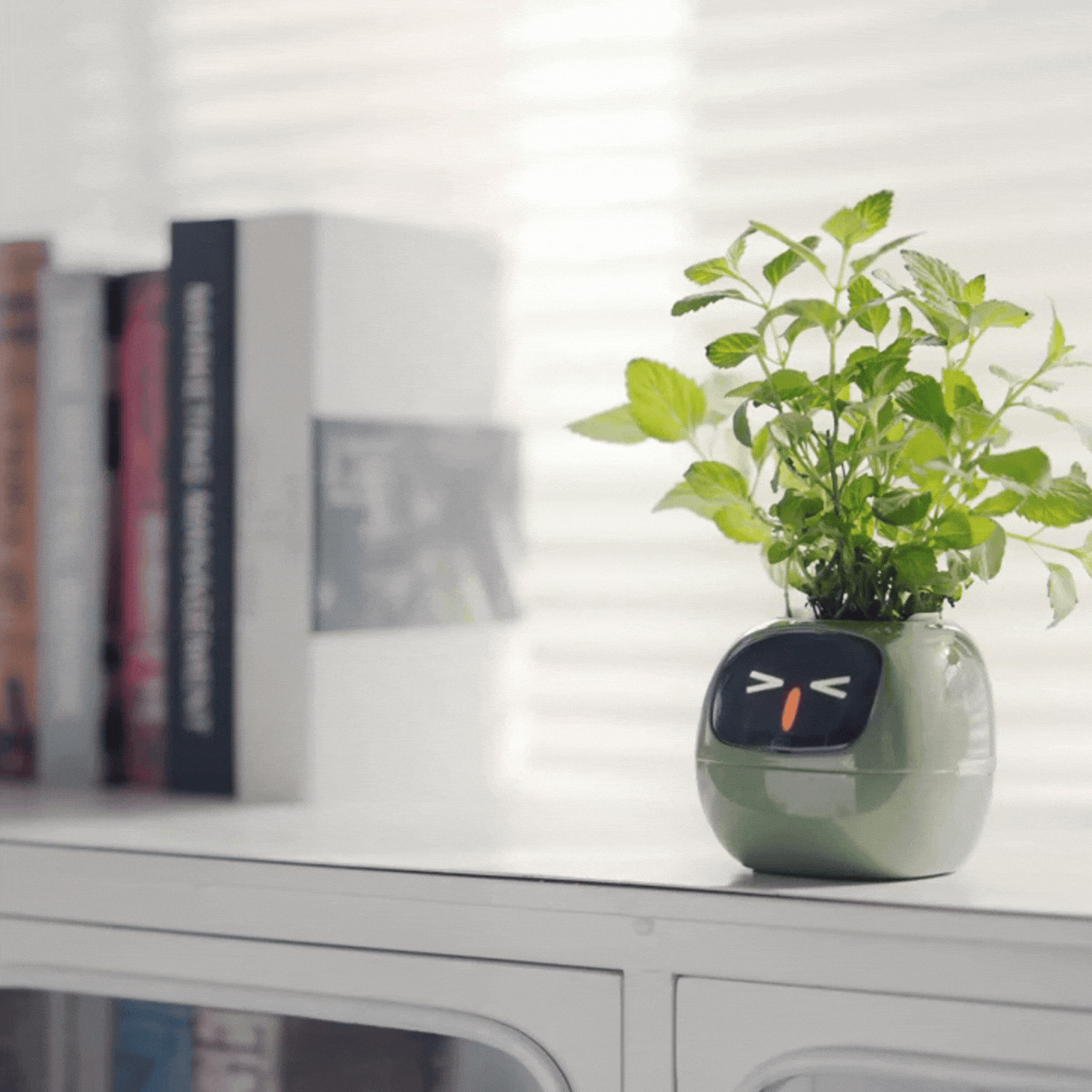 Smart Plant Pot with AI Sensors – Interactive Planter for Easy Plant C –  Royale Basic