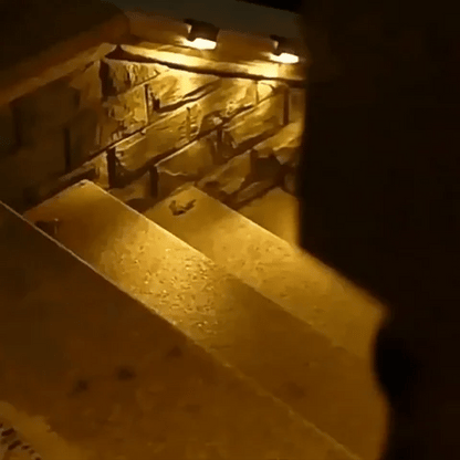 LuxRoyale Solar Step Lights Outdoor Dusk To Dawn No Wiring Energy Efficient