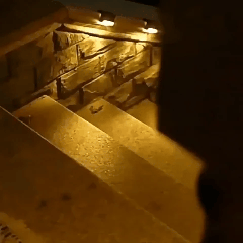 LuxRoyale Solar Step Lights Outdoor Dusk To Dawn No Wiring Energy Efficient