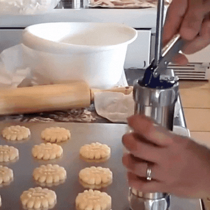 Royallure 25-Piece Cookie Press Gun Kit – Aluminum, 20 Discs & 4 Nozzles, Easy Operation