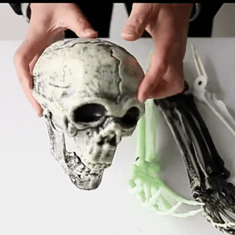 Rayvia Realistic Skeleton Stakes Halloween Decor Skulls & Arms for Lawn Garden