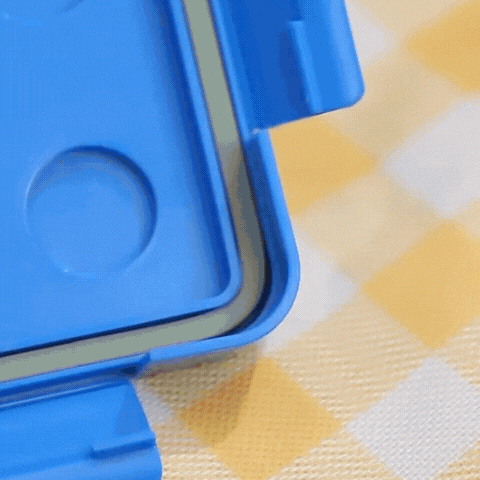Royallure Double Layer Bento Lunch Box - Portable Lunch Box with Divided Design for Student & Office
