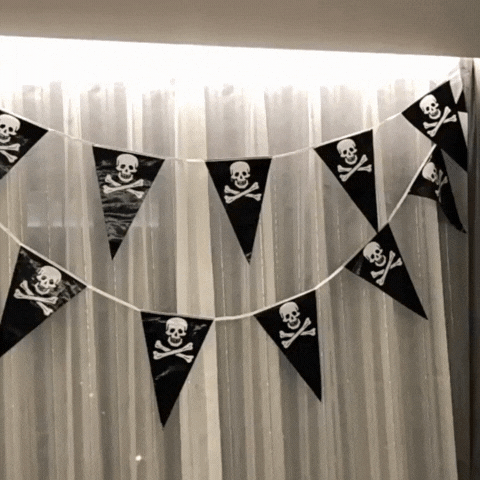 Royelux 32.8FT Black White Jolly Roger Pirate Banner Skull Outdoor Party Flag