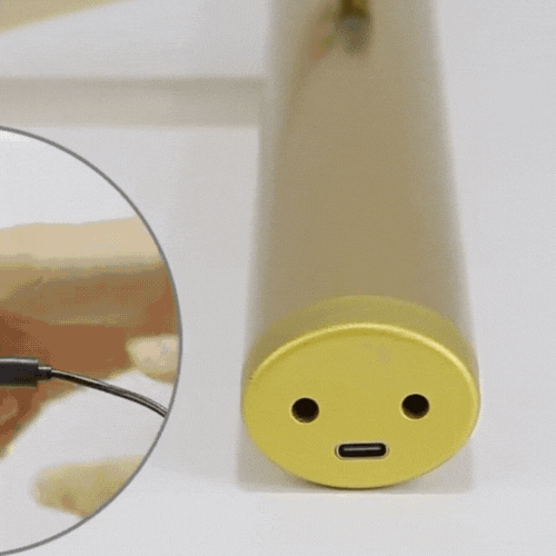 Royelux Cordless Wall Art Light With Remote Control For Modern Gallery