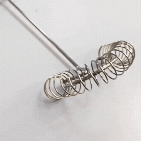 Royallure Stainless Steel Spring Egg Beater Mini Whisk Milk Frother & Sauce Mixer