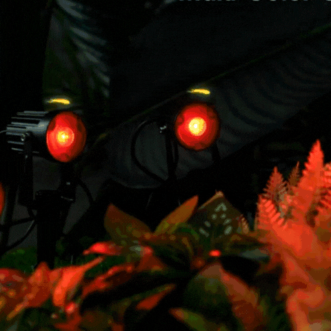 LuxRoyale RGB Solar Spotlights IP65 Waterproof Outdoor Garden Halloween Decor