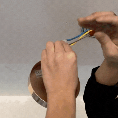 Royallure Modern Black Flush Mount Ceiling Light for Contemporary Interiors