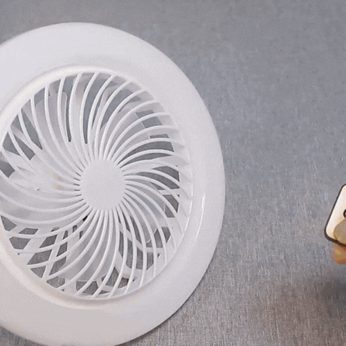 LuxRoyale Dual Fan Light Bulb With LED Remote And Quiet Operation