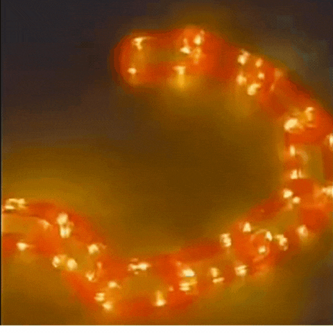 Royallure Solar/Battery Halloween Chain String Lights 8 Modes Waterproof Outdoor