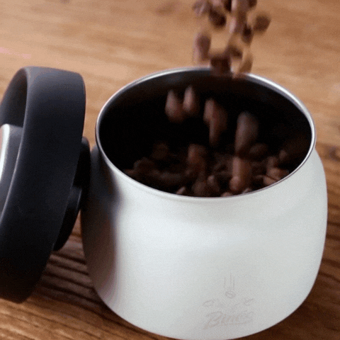 Royallure Stainless Steel Coffee Canister with Manual Vacuum Seal for Fresh Beans