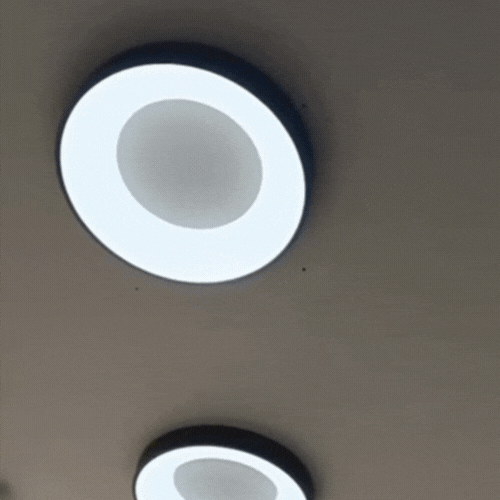 RoyaleGlow Nordic Ring Flush Mount Ceiling Light - Warm White LED 3000K Modern Design