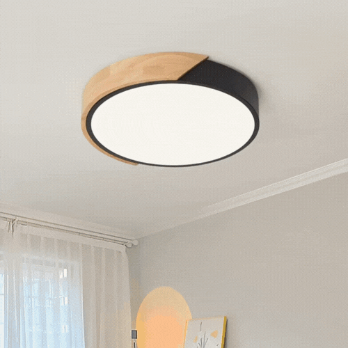 Royallure Modern Flush Mount Ceiling Light - Round LED Fixture for Elegant Spaces