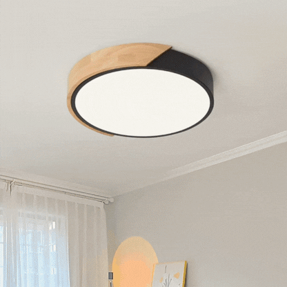 Royallure Modern Flush Mount Ceiling Light - Round LED Fixture for Elegant Spaces