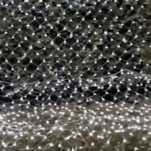 Royelux Modern Wall Light - Solar Net Mesh Lights with Remote Control for Patio and Roof