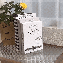 Elegant decorative books set on a modern coffee table, enhancing a chic living room atmosphere.