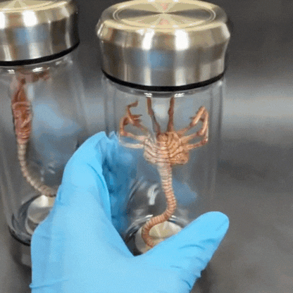 Rayvia Alien Glow Jar Xenomorph Facehugger Specimen LED Home Decoration Prop