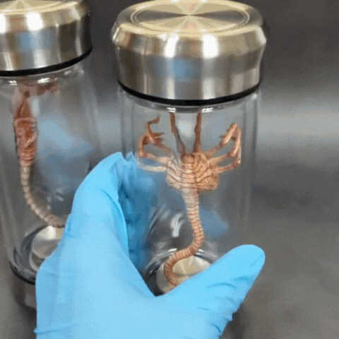 Rayvia Alien Glow Jar Xenomorph Facehugger Specimen LED Home Decoration Prop