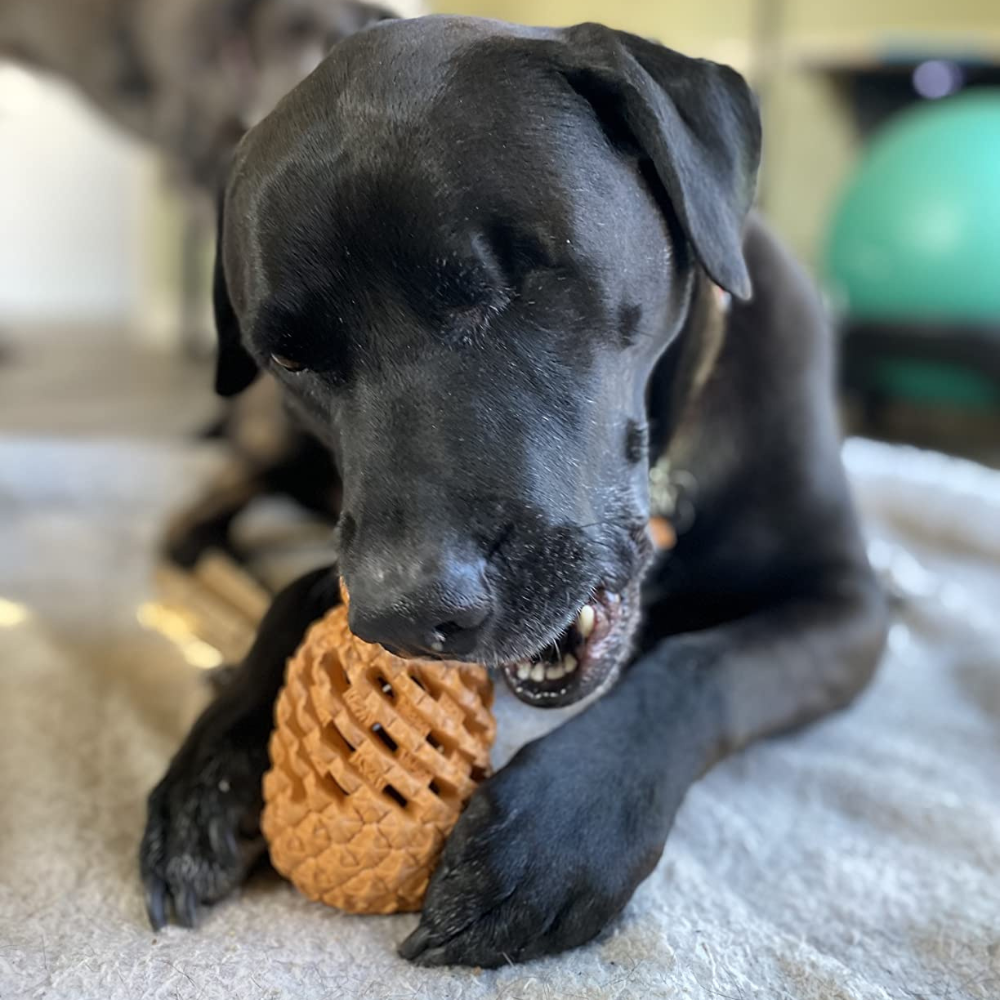 Pawellure Indestructible Pineapple Dog Chew Toy – Durable Treat Dispenser for Aggressive Chewers