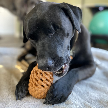 Pawellure Indestructible Pineapple Dog Chew Toy – Durable Treat Dispenser for Aggressive Chewers